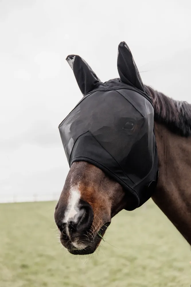 Classic Fly Mask Ears Black C