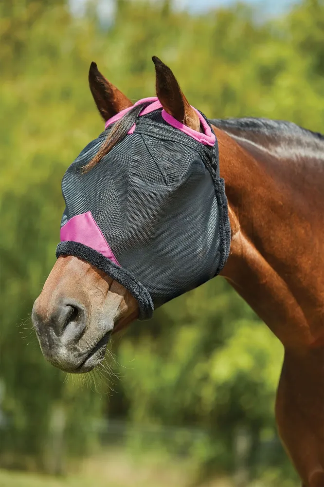 Comfitec Exclusief Durable Mesh Mask Black/Purple C