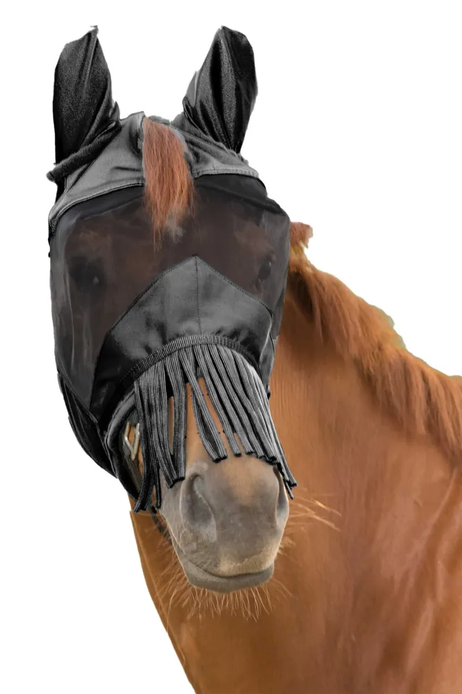 Fly Mask Ears and Nose Fringes Ebbenhout C