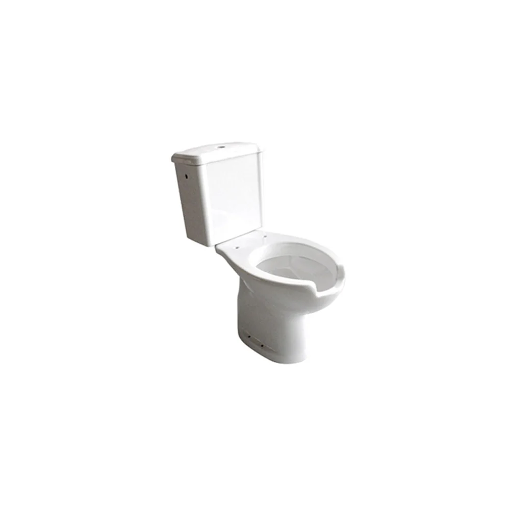 Monoblock sneeuwwit ceramic bowl and cistern floor drain ideal people disabilities