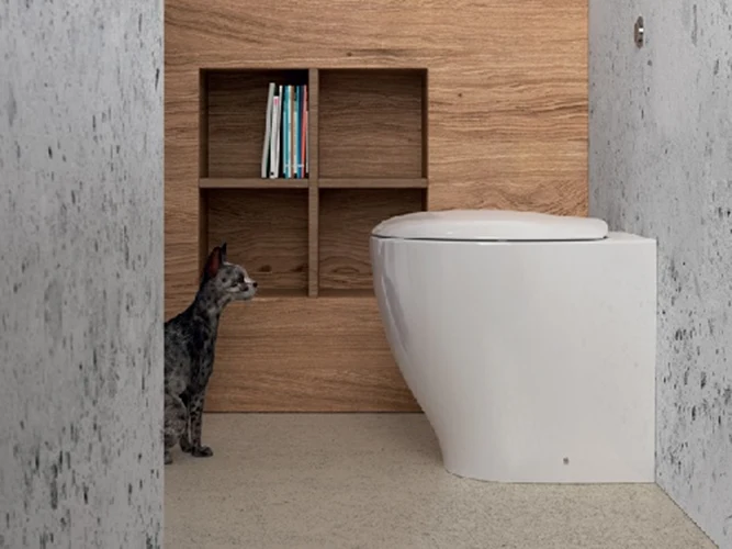 Bureaustoel Wall-hung WC reduced depth - Domus Falerii Mascalzone Zacht Close seat