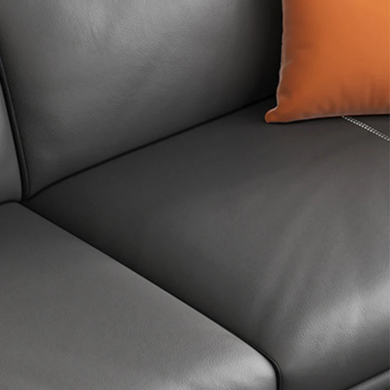 Ebbenhout Upholstered Pillow Back Against Leather/leather Seat 35