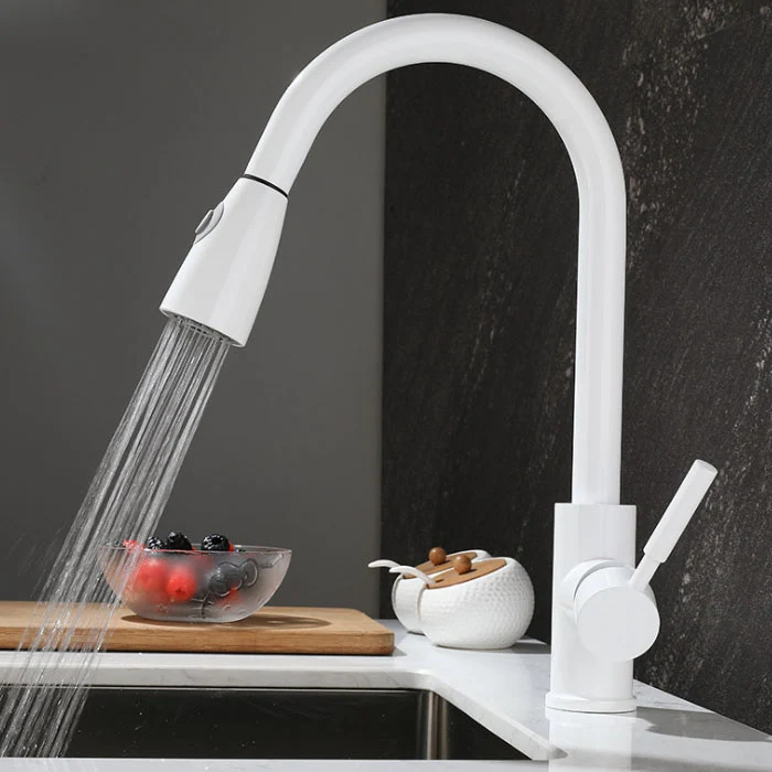 1-Hole Kitchen Faucet Pull down Sprayer Kitchen Faucet Enkel Lever Handle