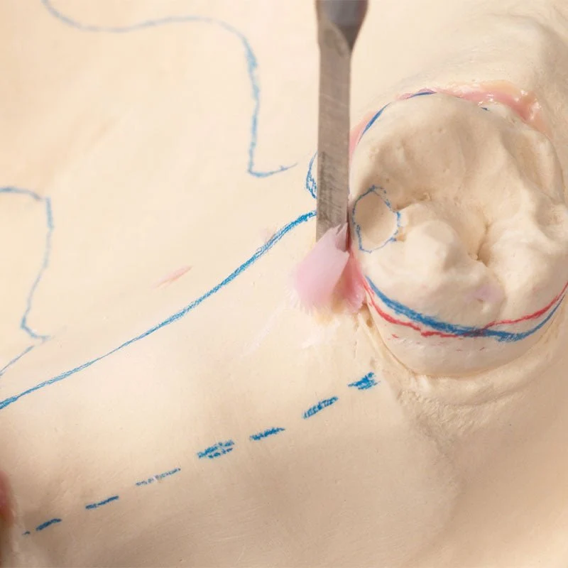 Blush body wax contains - Duplicate Stellite model preparation