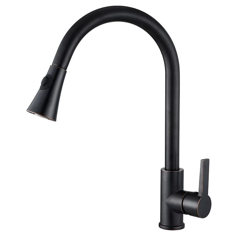Contemporain Pull Down Single Handle Kitchen Faucet 1-Hold Water Faucet