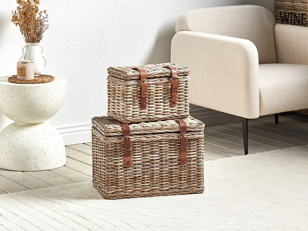 Doos set van 2 rotan ongedwongen IRBID