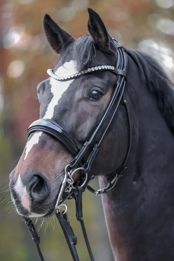 Fleur Tweeling Bridle Black/Patent Grey F