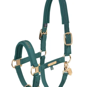 Heritage AW24 Faux Leather Double Pin Headcollar Softshell Vintage Appelgroen SHP