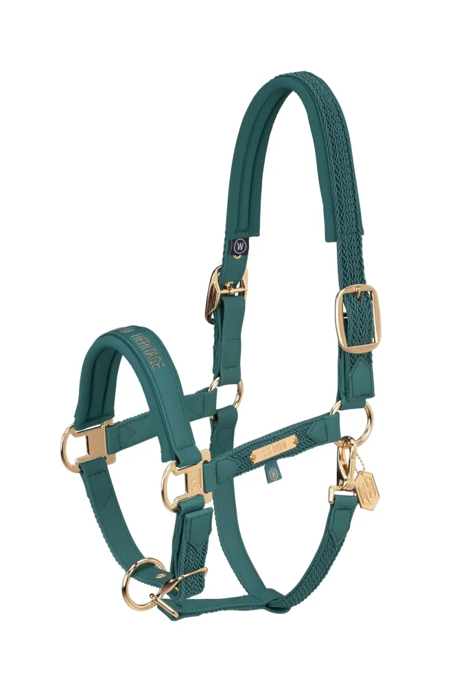 Heritage AW24 Faux Leather Tweeling Pin Headcollar Softshell Vintage Green F