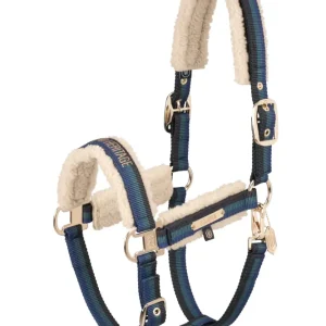 Heritage AW24 Teddyfleece Double Pin Headcollar Black-Vintage Green-True Blauw SHP