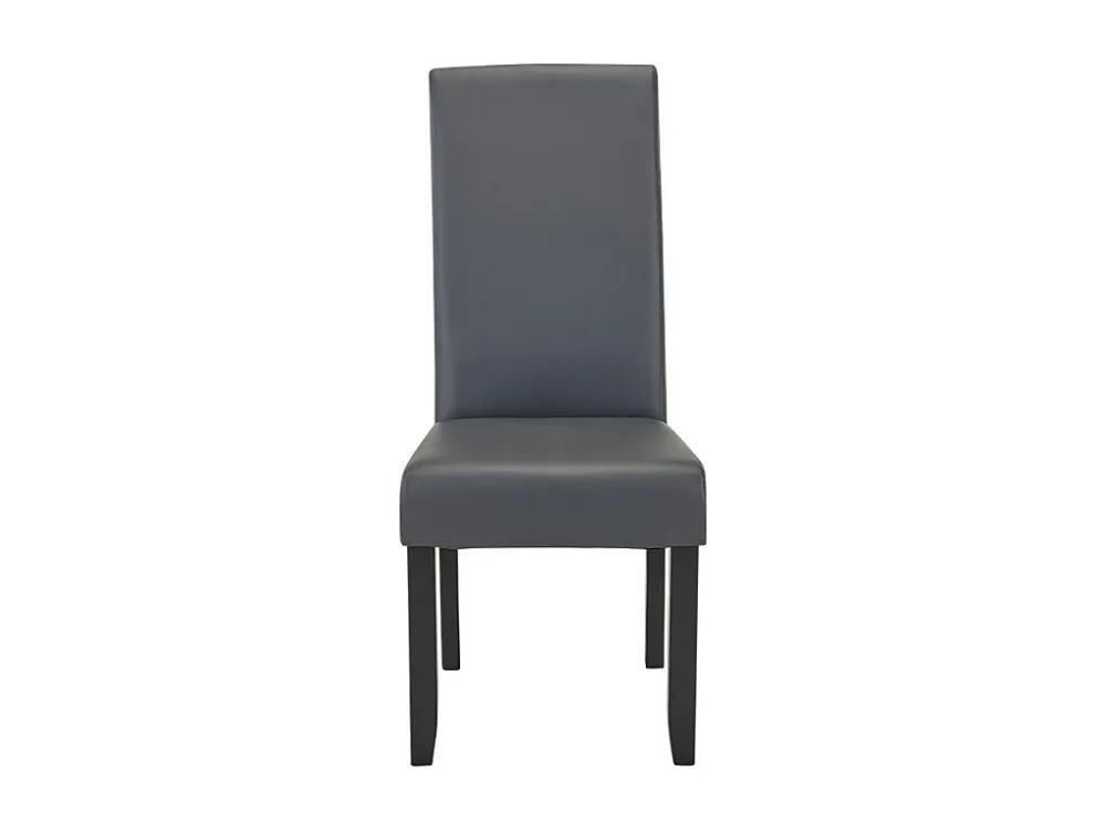 Set van 2 stoelen ROVIGO - Kunstleer - mat grijs