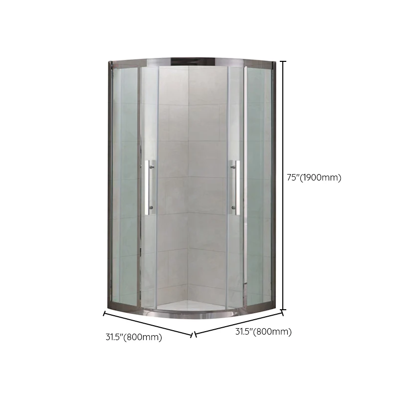 Shower Enclosure Semi-Frameless Double Sliding Neo-Angle Ebbenhout Door Handles Shower Stall 31