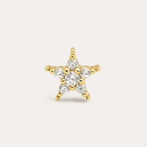 Starlight Gold Individueel Earring
