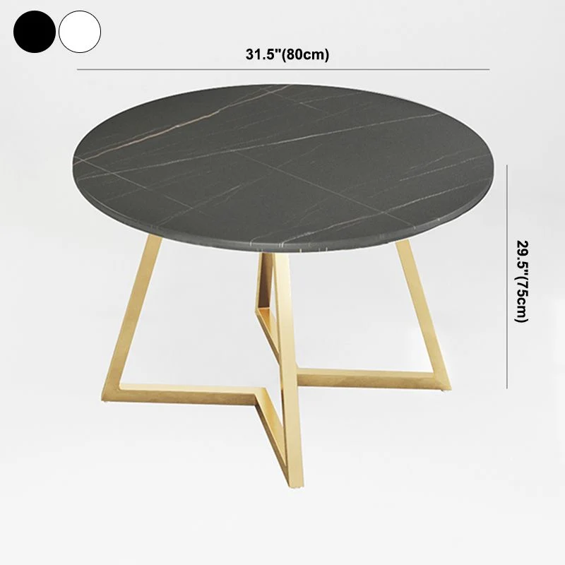 Traditional Verfijnd Round Double Pedestal Home Furniture Stone Dining Table 31