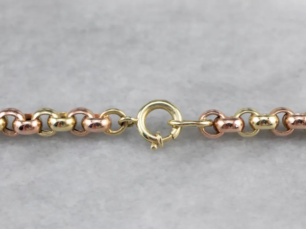 Two Tone Goud Graduated Rolo Chain