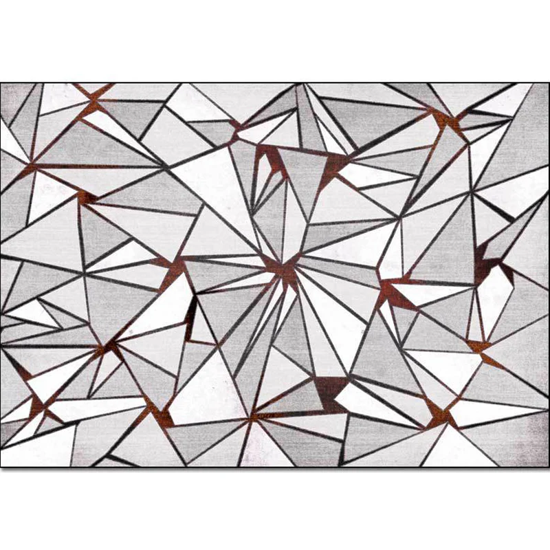 Uniek tapijt met geometrische print, grijs, puur tapijt, polyester, wasbaar, antislip rug, tapijt voor de woonkamer