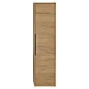 Allibert Hoge kast Border - 37 x 40 x 156 cm, Eik Halifax Natuur