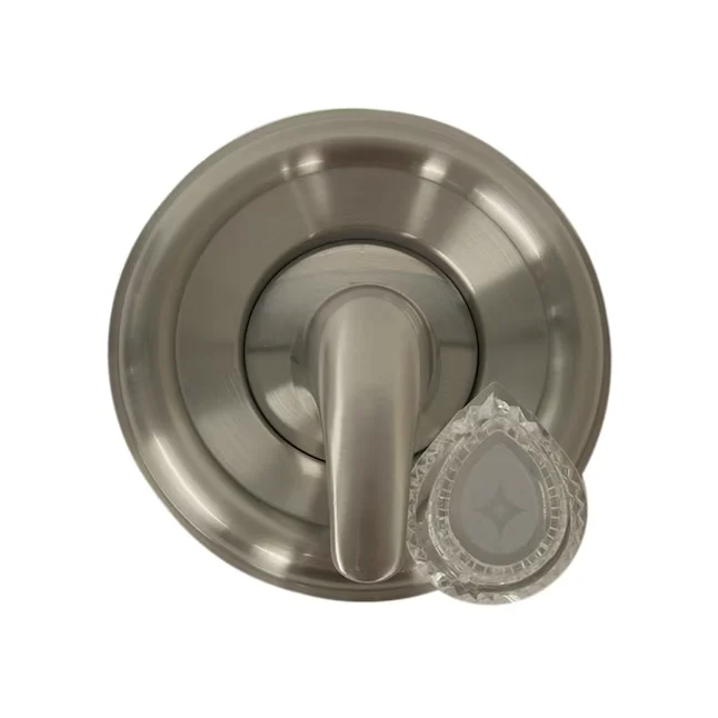 Danco Strookglans Nickel 1-handle Bathtub and Shower Faucet