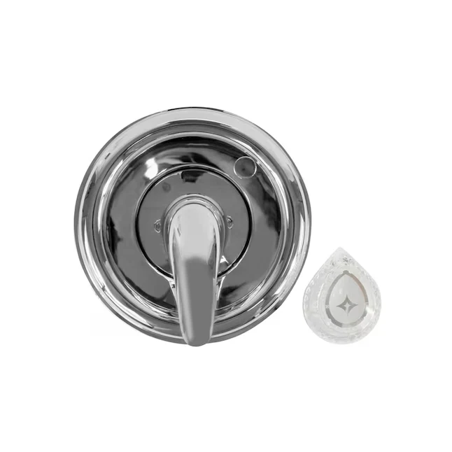 Danco Verchroomd 1-handle Bathtub and Shower Faucet