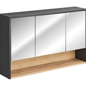 Kast Onder Wastafels BORNEO CUW120 1D 120x46x57 Donkergrijs
