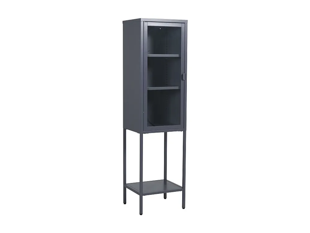 Vitrinekast MISHA SC41 1D 41x35x150 Grijs