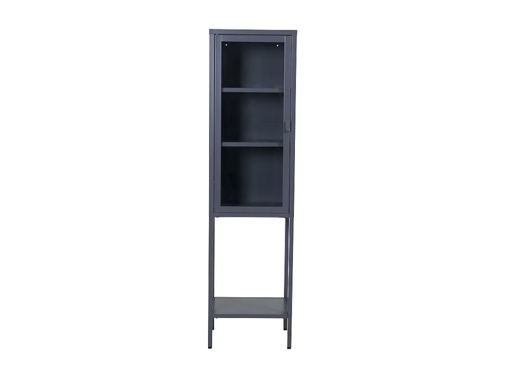 Vitrinekast MISHA SC41 1D 41x35x150 Grijs