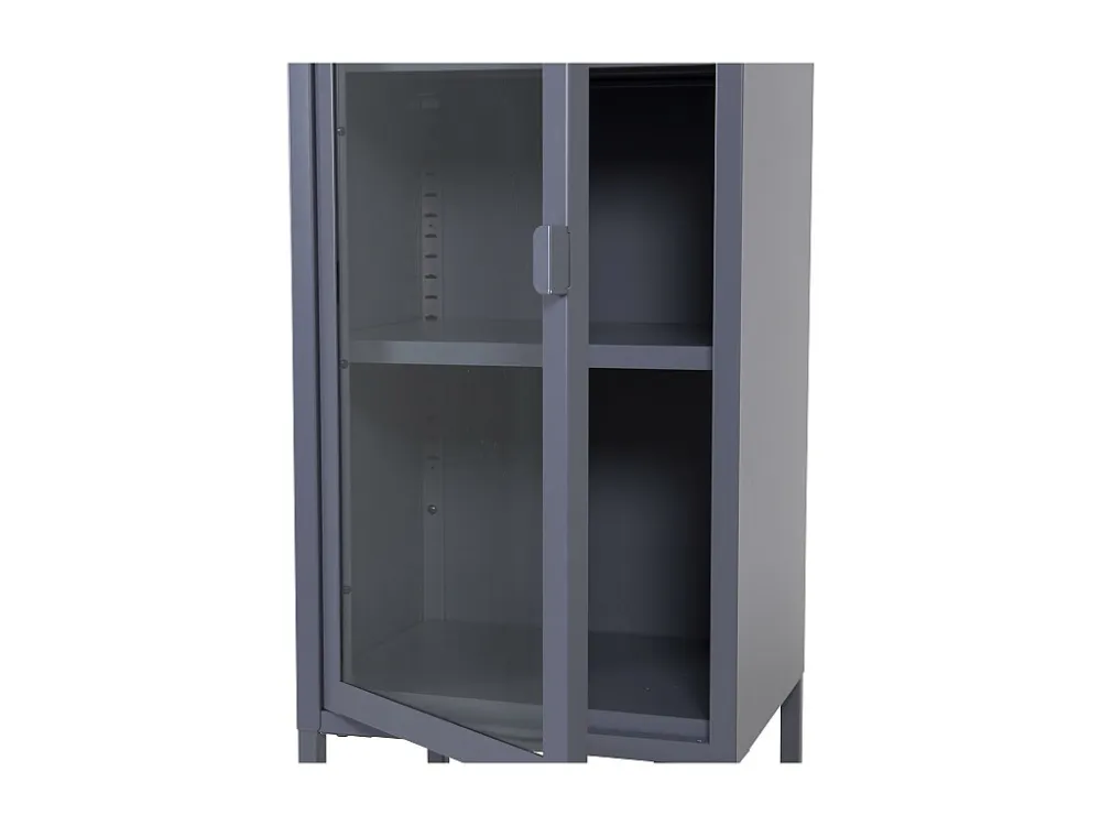 Vitrinekast MISHA SC41 1D 41x35x150 Grijs