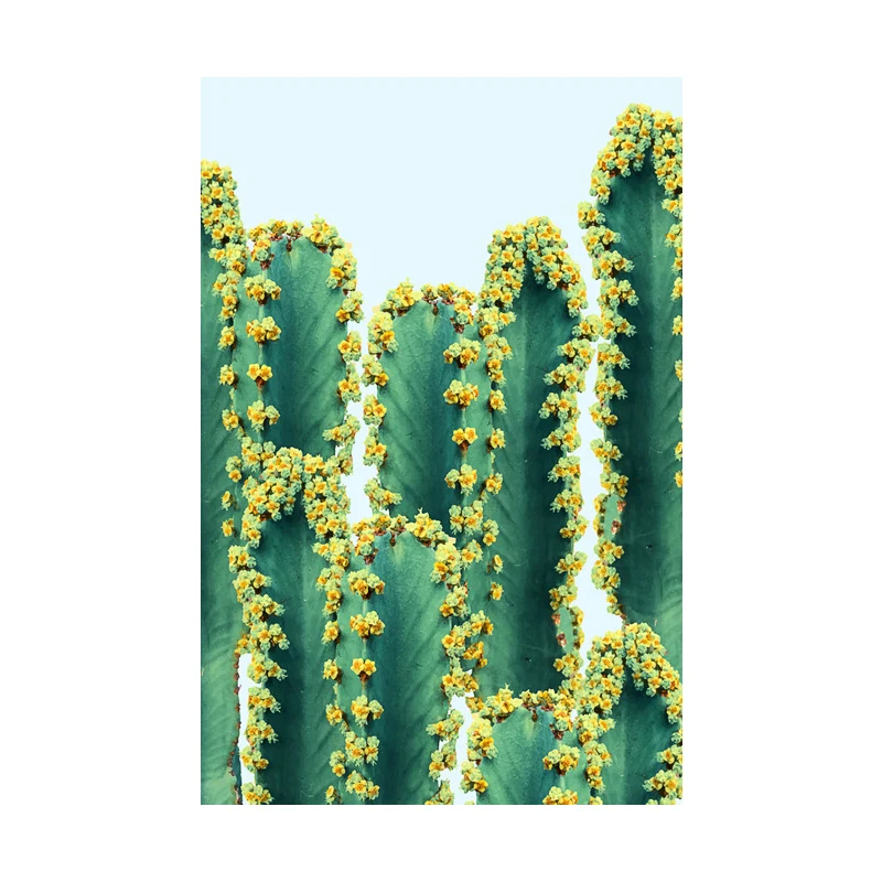 Nieuwigheid Cactus Stevig doek Muurkunst voor Slaapkamer Botanix Wanddecoratie groen, textuur