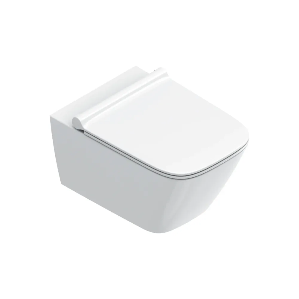 Wall-hung WC Keramisch Catalano Green 55 series Soft-Close seat