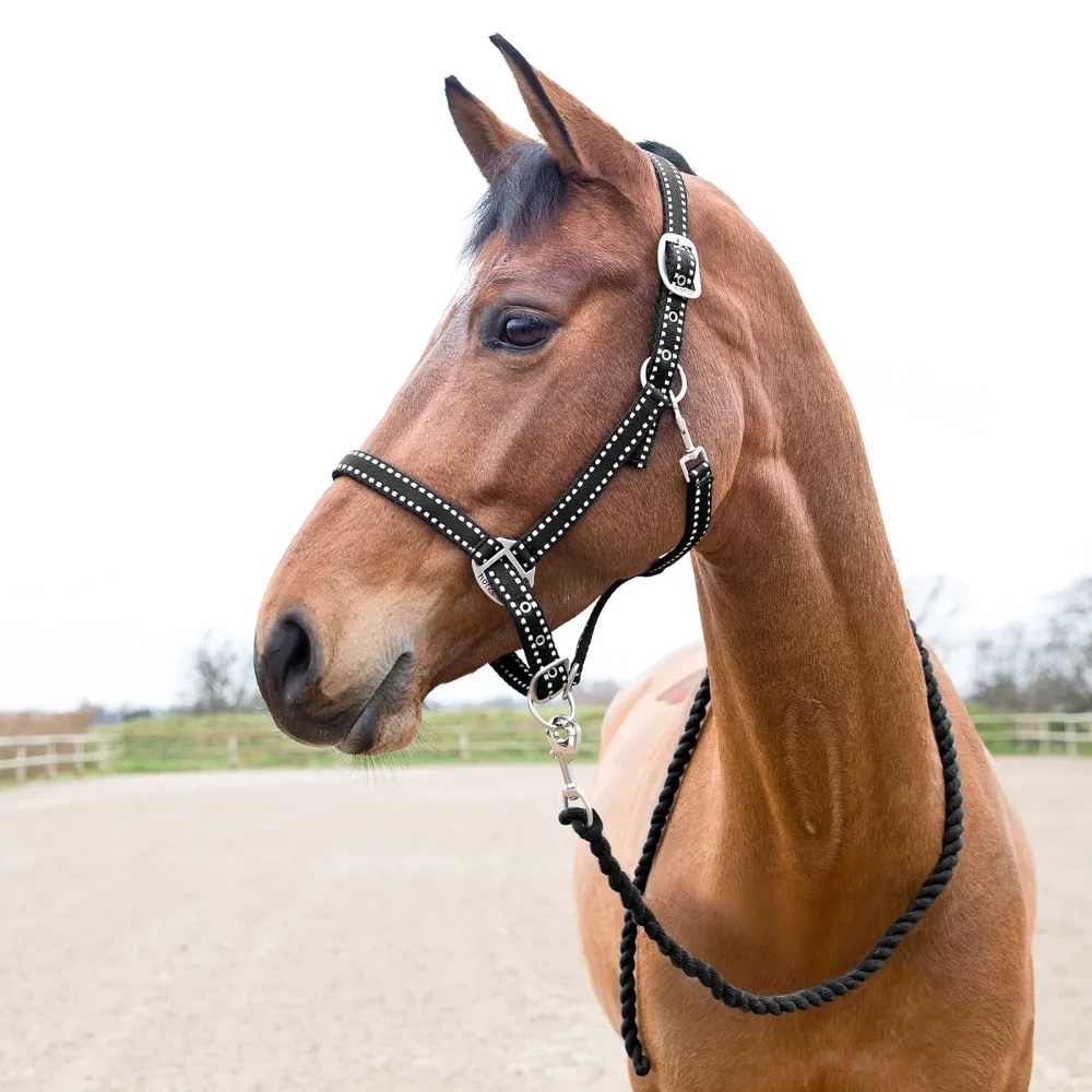 Cooper Halter and Lead Set Zwart P