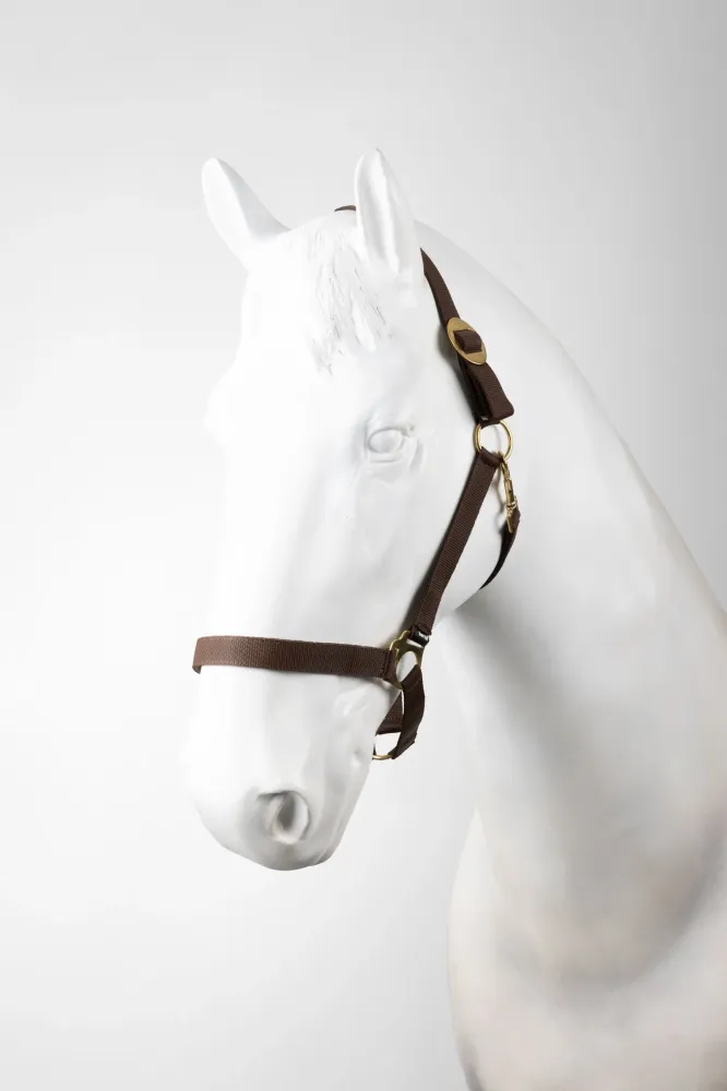 Halter Set (3 pcs) Zwart F