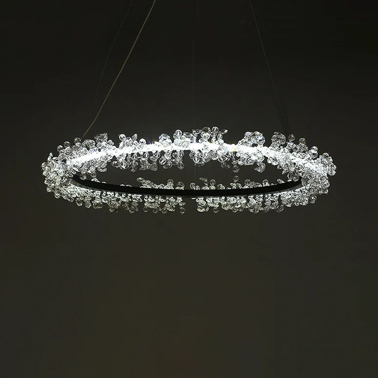 1/2/3-Light Black Ring Pendant Chandelier Contemporain Crystal Accent LED Pendant Light Fixture White/Warm Light Living Ro...
