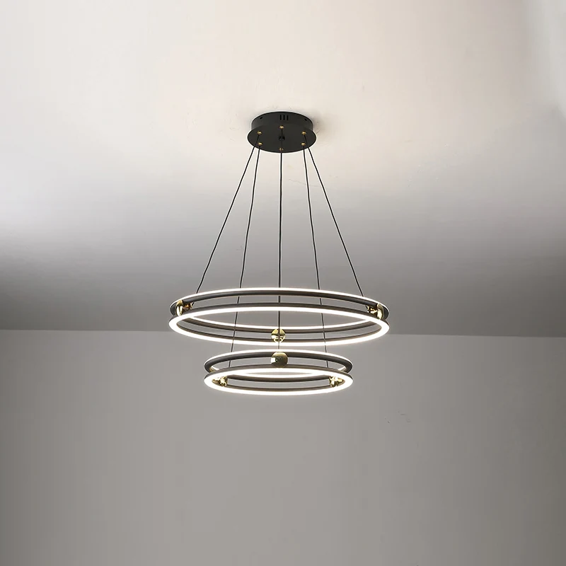 Black and White Circle Chandelier Minimalistic Lichtmetaal LED Hanging Light Dining Room Black