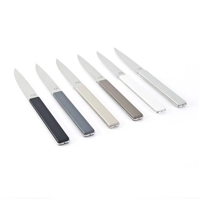 Tarrerias Bonjean Hector Giftset 4 steakmes argile inox AARKE