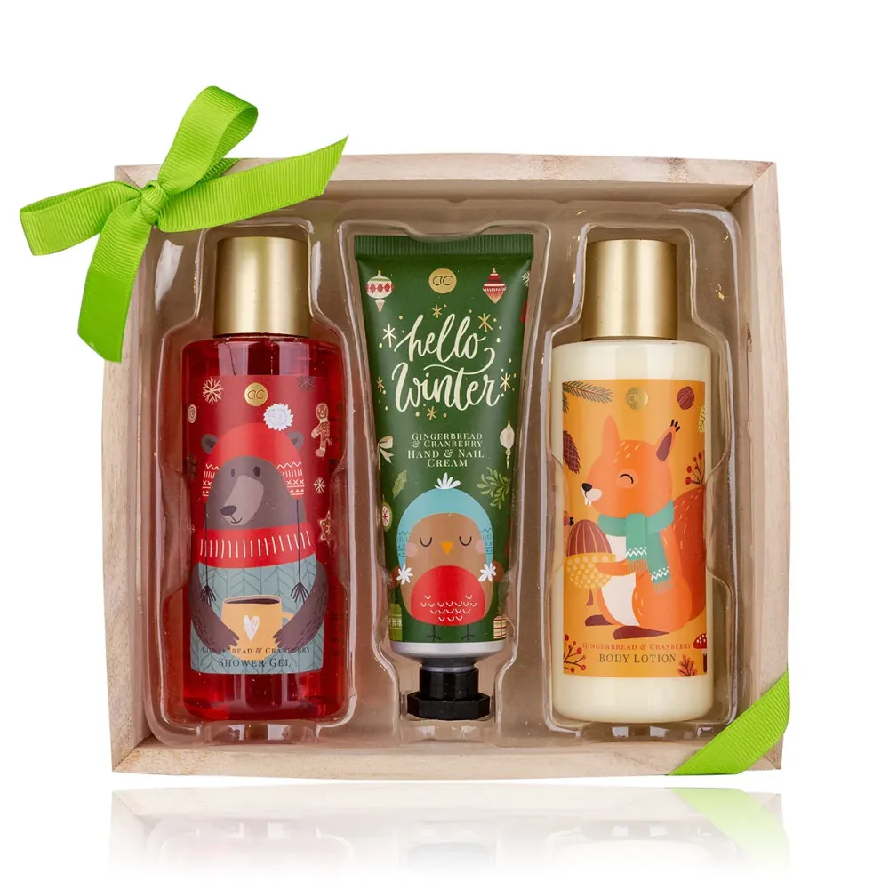 Giftset Hello Winter Accentra