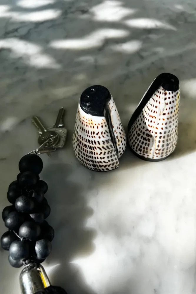 Salt and Peppa Shell Set - Set van 2 Bazar Bizar
