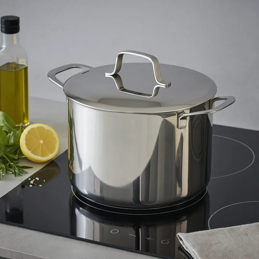 Beka Soeppan Maestro RVS met deksel ø 24 cm / 7.4 liter - geschikt voor alle warmtebronnen