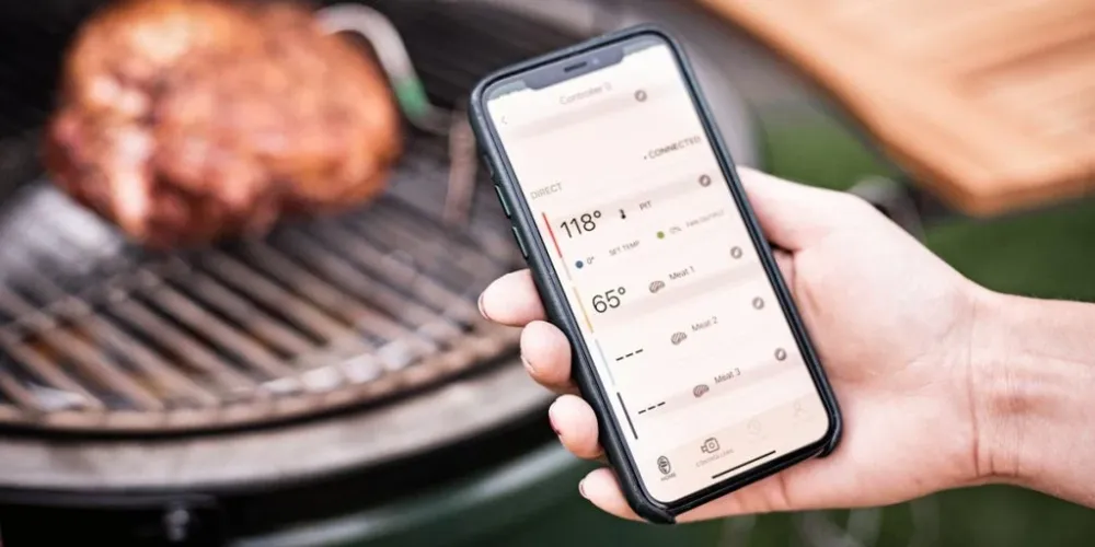 Egg Genius Big Green Egg