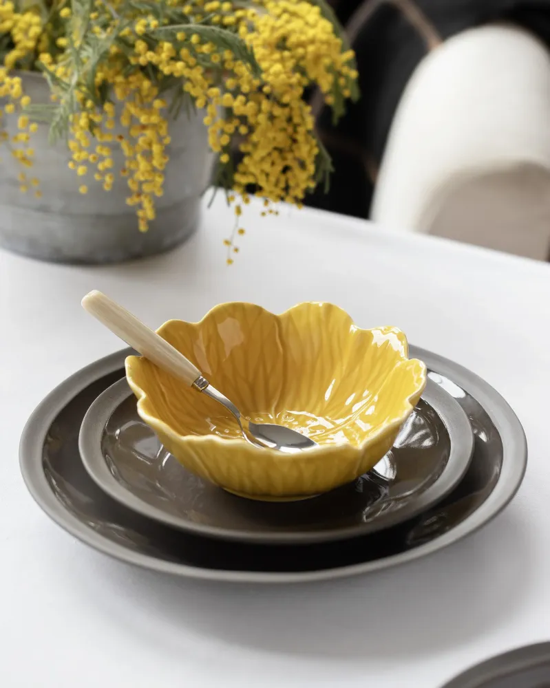 Terra plat bord Bone and White