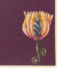 Catchii Placemat oranje bloem