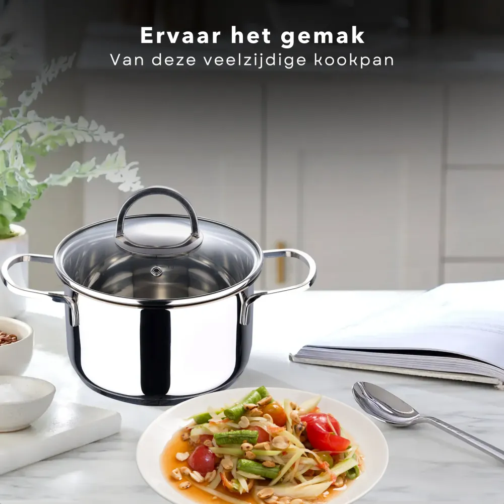 Cheqo® Kookpan met Deksel - Alle Warmtebronnen - Ook voor Inductie - Ø20 cm - 3.3L