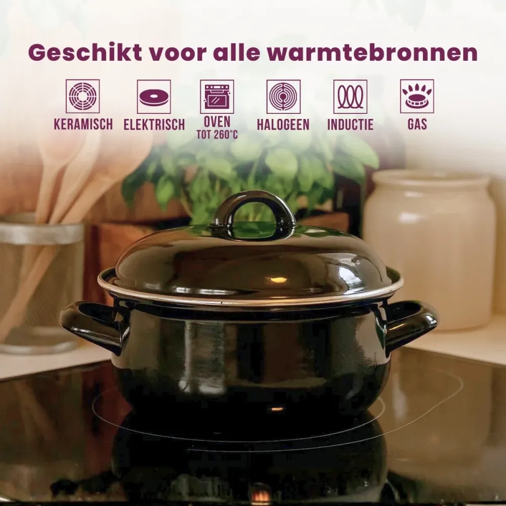 Cookinglife Braadpan met deksel - Emaille - Cooking - ø 28 cm / 6 Liter - geëmailleerde anti-aanbaklaag