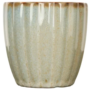 Cosy & Trendy Koffiekopjes / Senseokopjes - Astera Ocean Crème - 240 ml - 4 Stuks