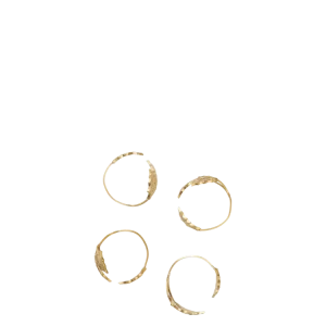 Holly Leaf Napkin Rings - Set 4 - Brass Ferm Living - COM