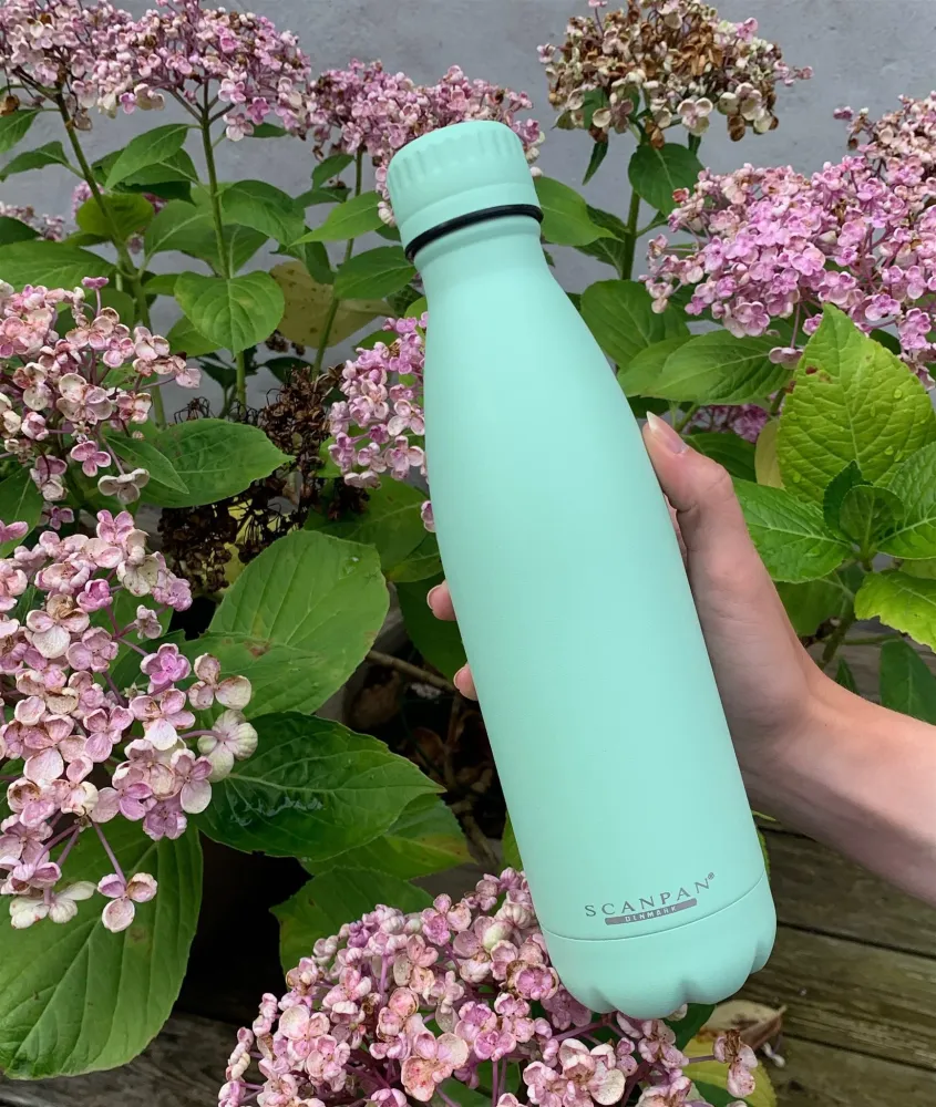 Green Tea 500 ml