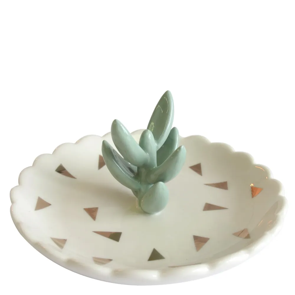 House Disaster urban succulent dish