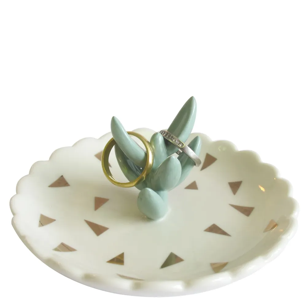 House Disaster urban succulent dish