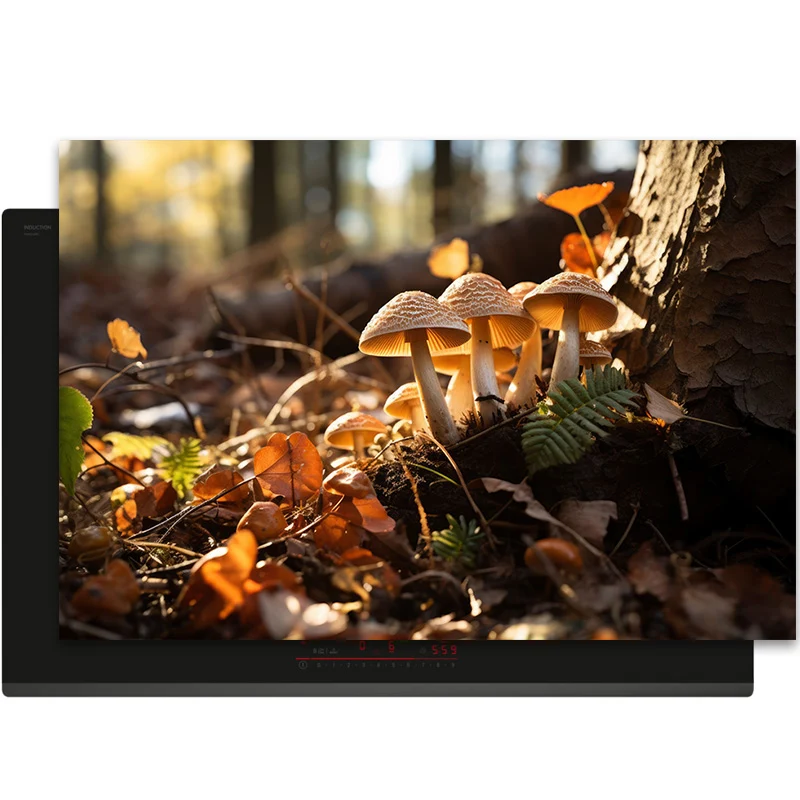 Inductiebeschermer - Herfst - Boslicht Inductie Maatje
