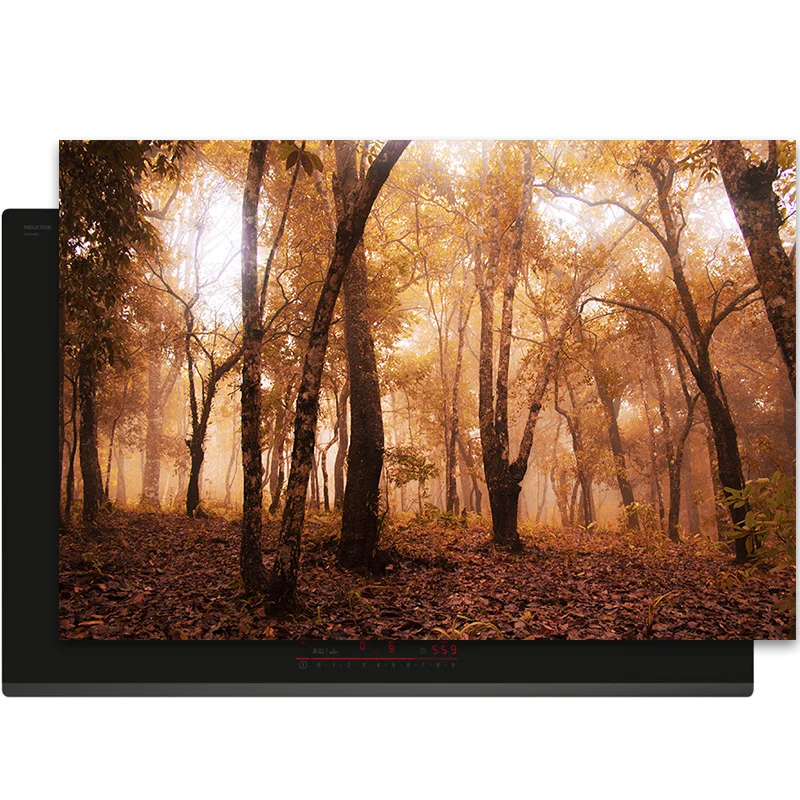 Inductiebeschermer - Herfst - Gouden Woud Inductie Maatje