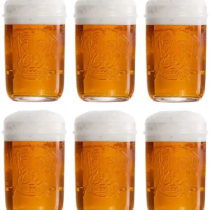 Lagunitas Bierglazen - 300 ml - 6 stuks